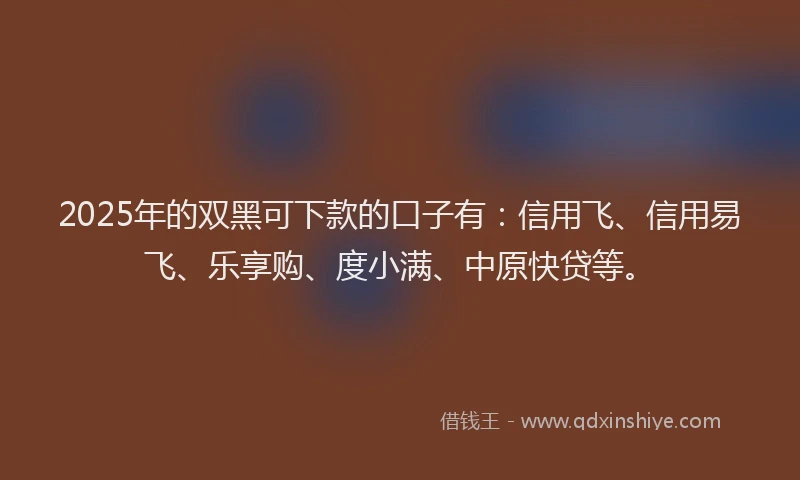 2025年的双黑可下款的口子有：信用飞、信用易飞、乐享购、度小满、中原快贷等。