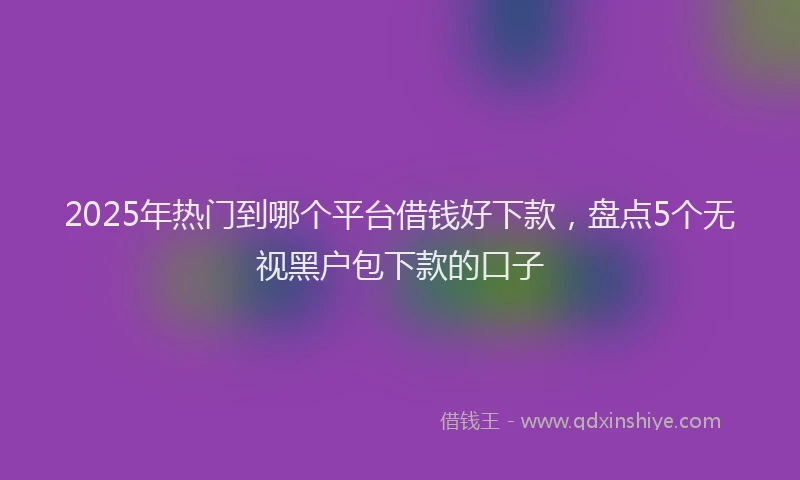 2025年热门到哪个平台借钱好下款，盘点5个无视黑户包下款的口子