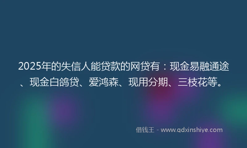 2025年的失信人能贷款的网贷有：现金易融通途、现金白鸽贷、爱鸿森、现用分期、三枝花等。