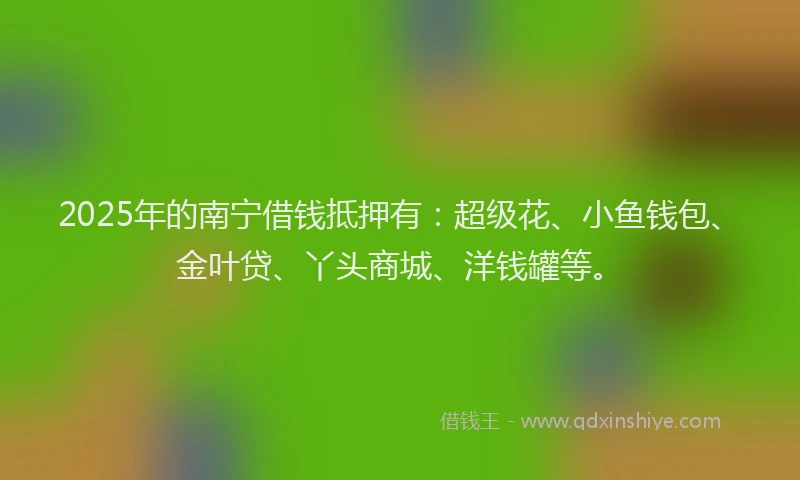 2025年的南宁借钱抵押有：超级花、小鱼钱包、金叶贷、丫头商城、洋钱罐等。