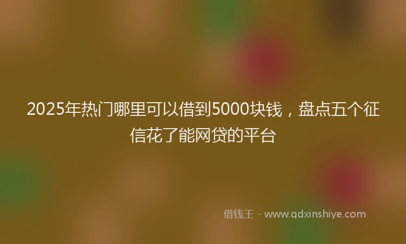 2025年热门哪里可以借到5000块钱，盘点五个征信花了能网贷的平台