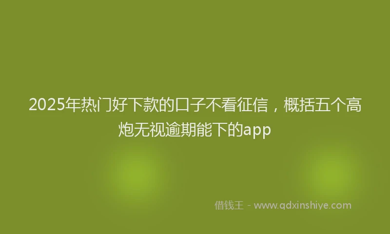 2025年热门好下款的口子不看征信，概括五个高炮无视逾期能下的app