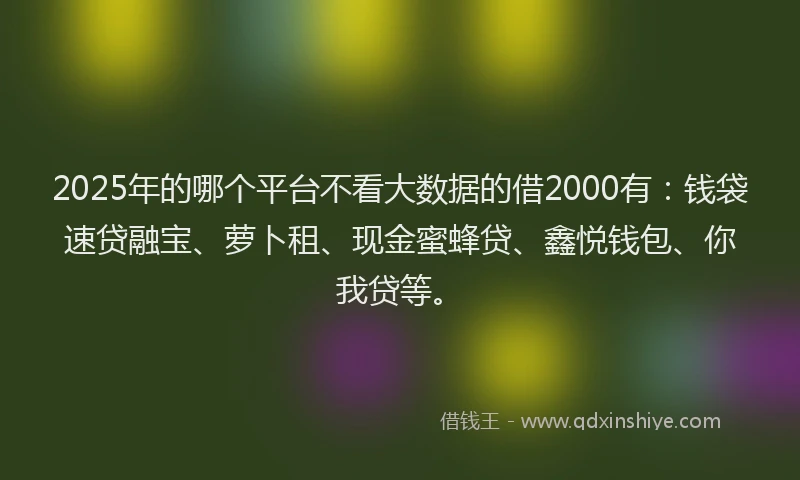 2025年的哪个平台不看大数据的借2000有：钱袋速贷融宝、萝卜租、现金蜜蜂贷、鑫悦钱包、你我贷等。