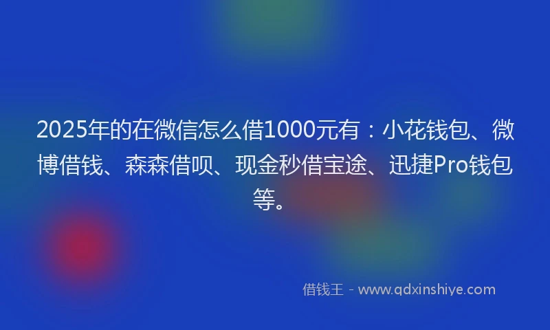 2025年的在微信怎么借1000元有：小花钱包、微博借钱、森森借呗、现金秒借宝途、迅捷Pro钱包等。