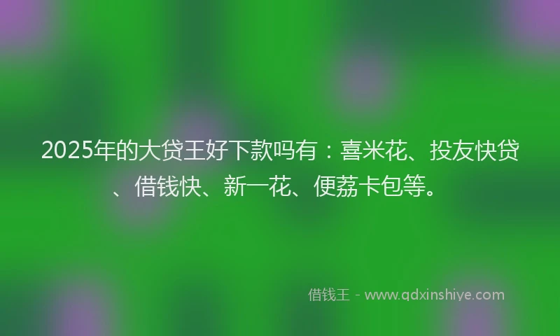 2025年的大贷王好下款吗有：喜米花、投友快贷、借钱快、新一花、便荔卡包等。