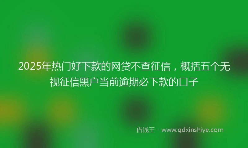 2025年热门好下款的网贷不查征信，概括五个无视征信黑户当前逾期必下款的口子