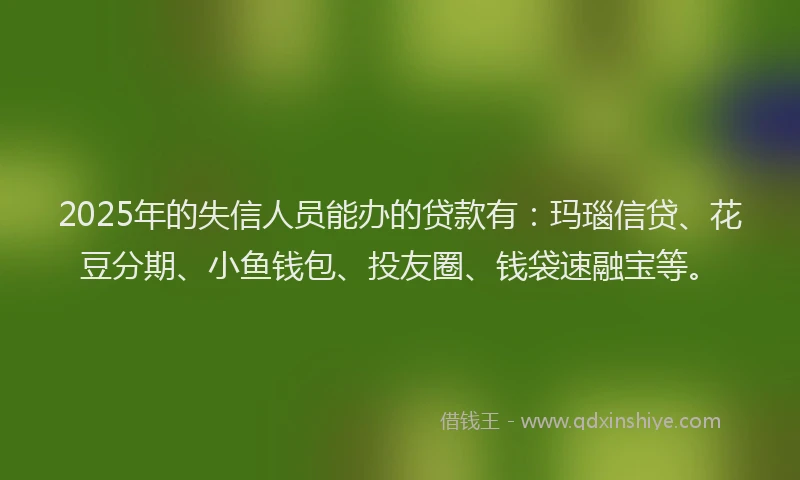 2025年的失信人员能办的贷款有：玛瑙信贷、花豆分期、小鱼钱包、投友圈、钱袋速融宝等。