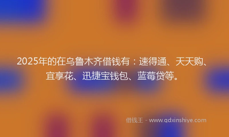 2025年的在乌鲁木齐借钱有：速得通、天天购、宜享花、迅捷宝钱包、蓝莓贷等。