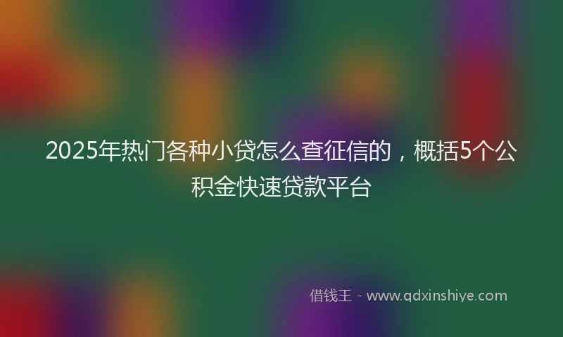 2025年热门各种小贷怎么查征信的，概括5个公积金快速贷款平台
