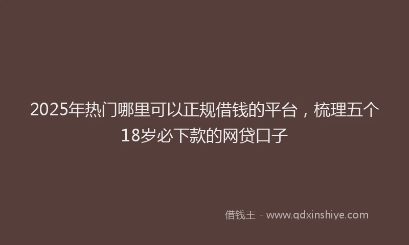 2025年热门哪里可以正规借钱的平台，梳理五个18岁必下款的网贷口子