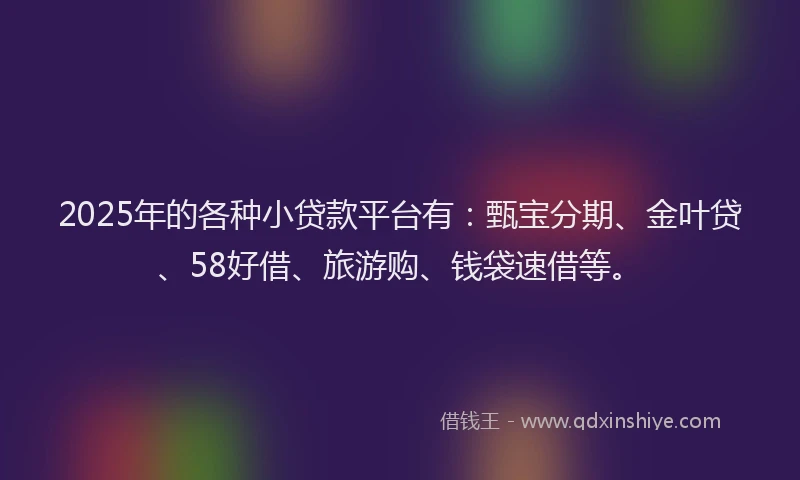 2025年的各种小贷款平台有：甄宝分期、金叶贷、58好借、旅游购、钱袋速借等。