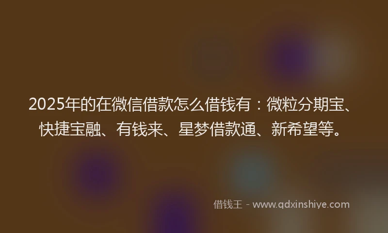 2025年的在微信借款怎么借钱有：微粒分期宝、快捷宝融、有钱来、星梦借款通、新希望等。