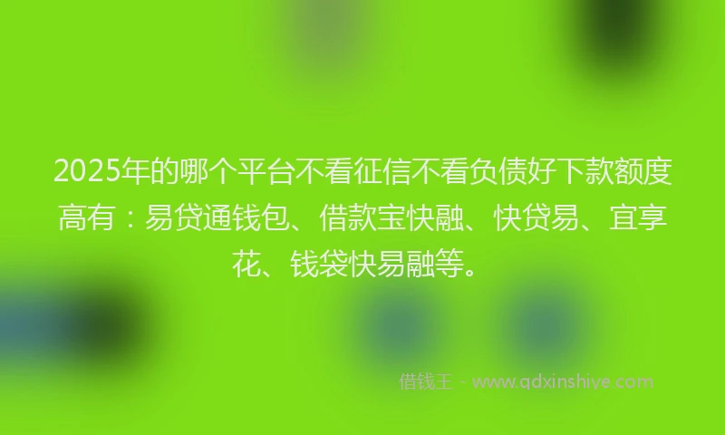 2025年的哪个平台不看征信不看负债好下款额度高有：易贷通钱包、借款宝快融、快贷易、宜享花、钱袋快易融等。