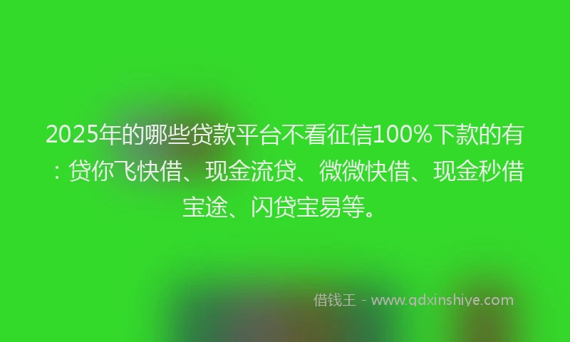 2025年的哪些贷款平台不看征信100%下款的有：贷你飞快借、现金流贷、微微快借、现金秒借宝途、闪贷宝易等。
