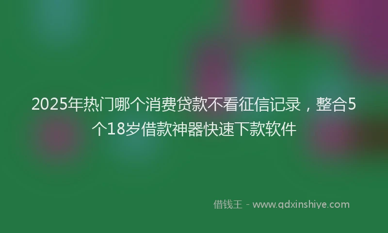 2025年热门哪个消费贷款不看征信记录，整合5个18岁借款神器快速下款软件