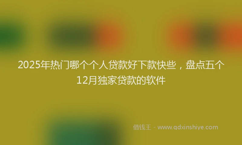 2025年热门哪个个人贷款好下款快些，盘点五个12月独家贷款的软件