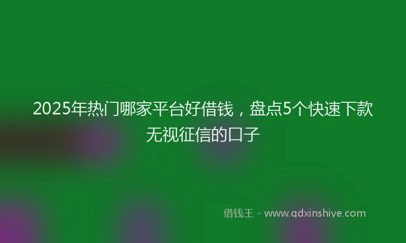 2025年热门哪家平台好借钱，盘点5个快速下款无视征信的口子