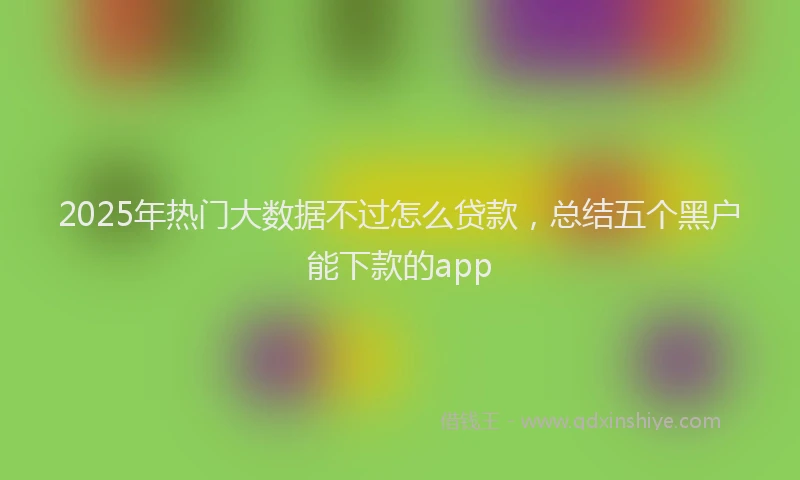 2025年热门大数据不过怎么贷款，总结五个黑户能下款的app