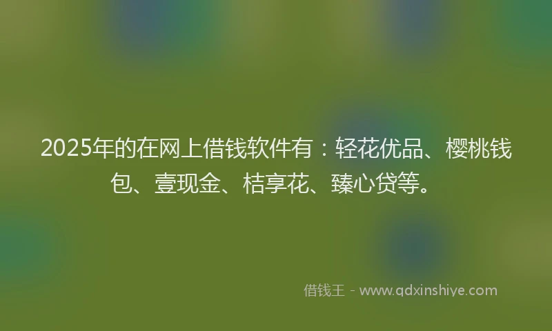 2025年的在网上借钱软件有：轻花优品、樱桃钱包、壹现金、桔享花、臻心贷等。