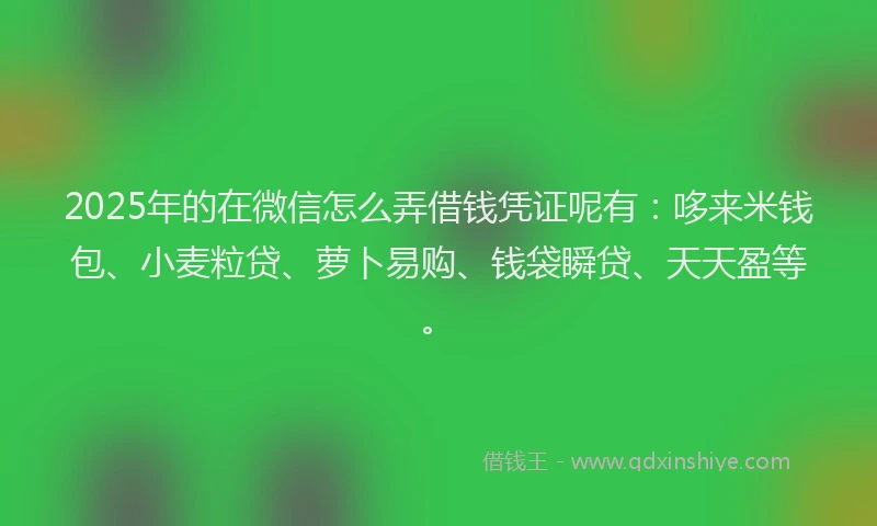 2025年的在微信怎么弄借钱凭证呢有：哆来米钱包、小麦粒贷、萝卜易购、钱袋瞬贷、天天盈等。