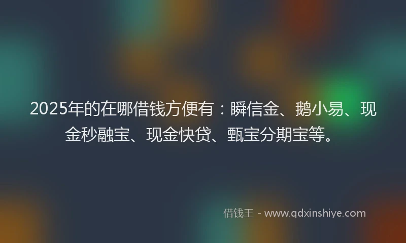 2025年的在哪借钱方便有：瞬信金、鹅小易、现金秒融宝、现金快贷、甄宝分期宝等。