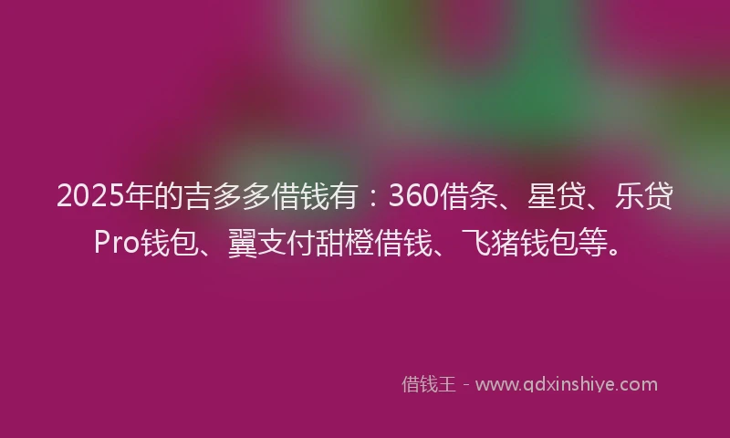 2025年的吉多多借钱有：360借条、星贷、乐贷Pro钱包、翼支付甜橙借钱、飞猪钱包等。