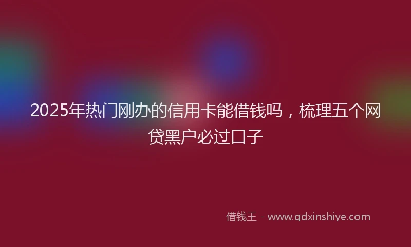 2025年热门刚办的信用卡能借钱吗，梳理五个网贷黑户必过口子