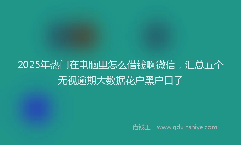 2025年热门在电脑里怎么借钱啊微信，汇总五个无视逾期大数据花户黑户口子