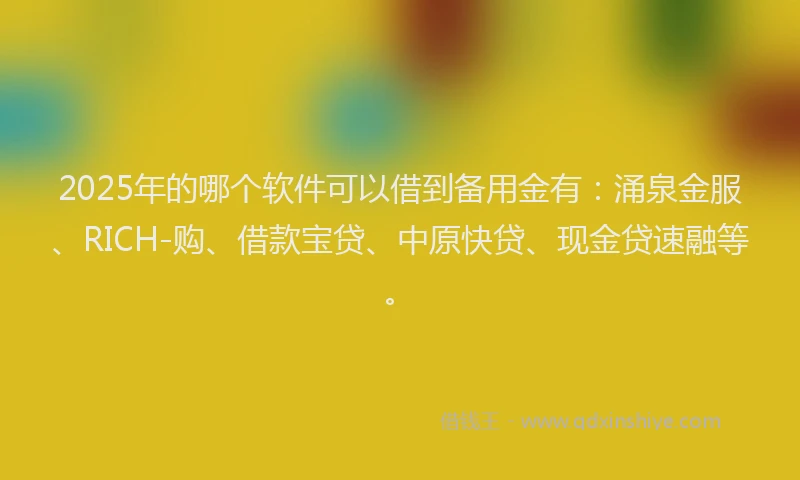 2025年的哪个软件可以借到备用金有：涌泉金服、RICH-购、借款宝贷、中原快贷、现金贷速融等。