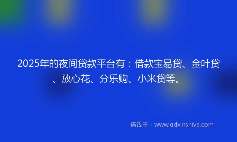 2025年的夜间贷款平台有：借款宝易贷、金叶贷、放心花、分乐购、小米贷等。