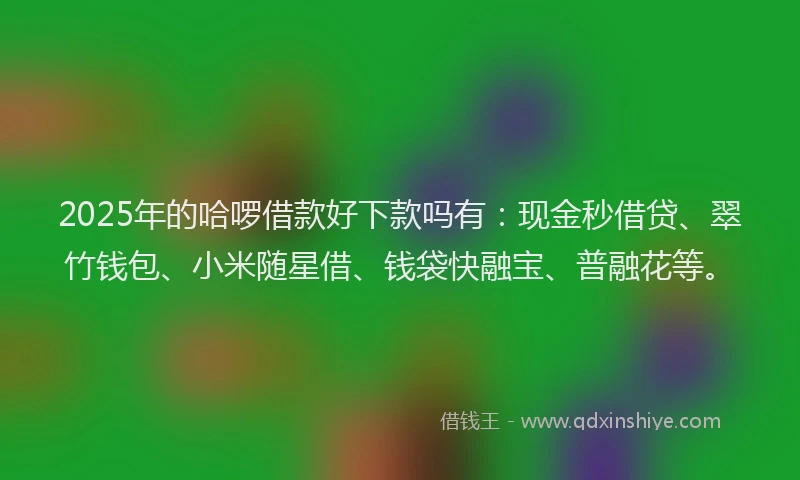 2025年的哈啰借款好下款吗有：现金秒借贷、翠竹钱包、小米随星借、钱袋快融宝、普融花等。