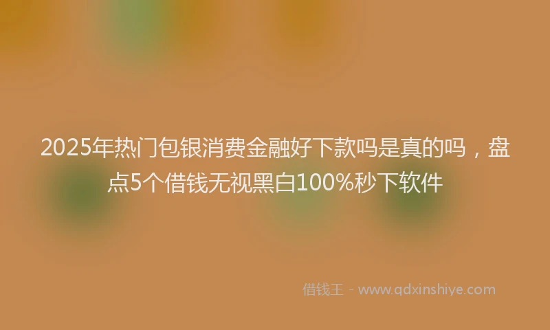 2025年热门包银消费金融好下款吗是真的吗，盘点5个借钱无视黑白100%秒下软件