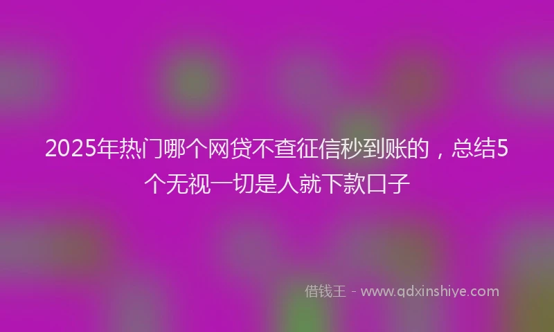 2025年热门哪个网贷不查征信秒到账的，总结5个无视一切是人就下款口子
