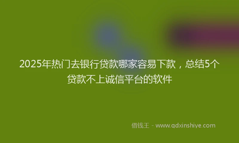 2025年热门去银行贷款哪家容易下款，总结5个贷款不上诚信平台的软件