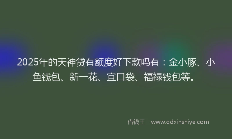 2025年的天神贷有额度好下款吗有：金小豚、小鱼钱包、新一花、宜口袋、福禄钱包等。