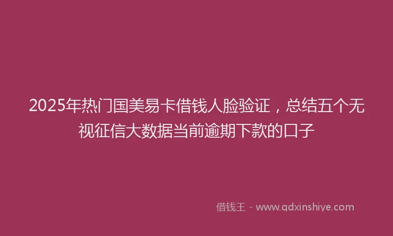 2025年热门国美易卡借钱人脸验证，总结五个无视征信大数据当前逾期下款的口子
