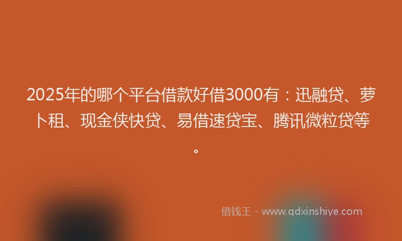 2025年的哪个平台借款好借3000有：迅融贷、萝卜租、现金侠快贷、易借速贷宝、腾讯微粒贷等。