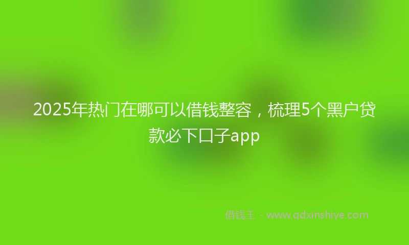 2025年热门在哪可以借钱整容，梳理5个黑户贷款必下口子app