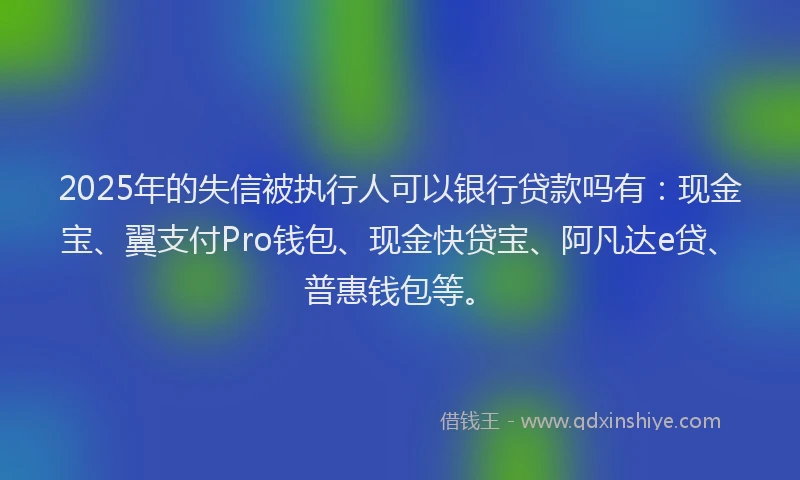 2025年的失信被执行人可以银行贷款吗有：现金宝、翼支付Pro钱包、现金快贷宝、阿凡达e贷、普惠钱包等。