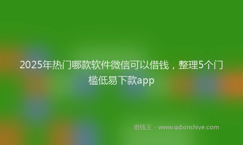 2025年热门哪款软件微信可以借钱，整理5个门槛低易下款app