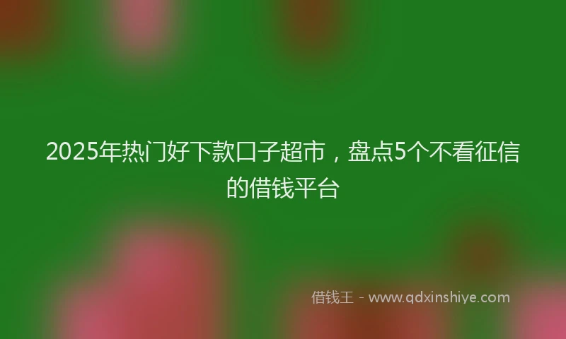 2025年热门好下款口子超市，盘点5个不看征信的借钱平台