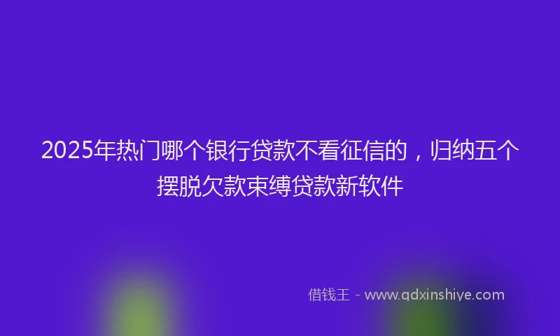 2025年热门哪个银行贷款不看征信的，归纳五个摆脱欠款束缚贷款新软件