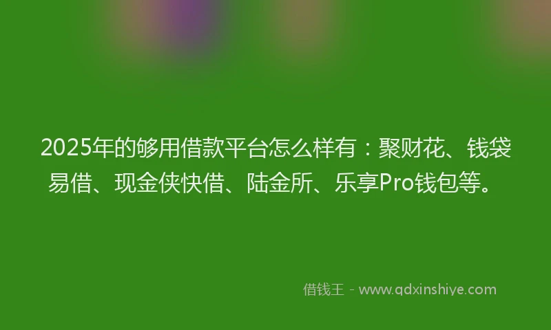 2025年的够用借款平台怎么样有：聚财花、钱袋易借、现金侠快借、陆金所、乐享Pro钱包等。