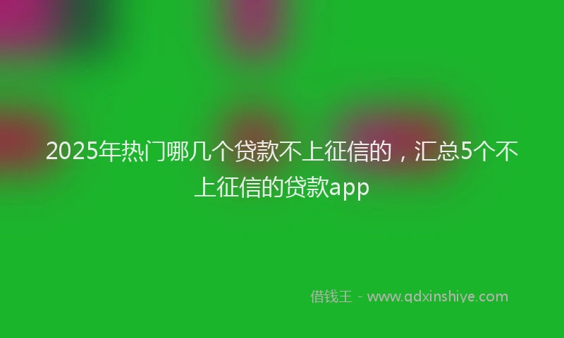 2025年热门哪几个贷款不上征信的，汇总5个不上征信的贷款app