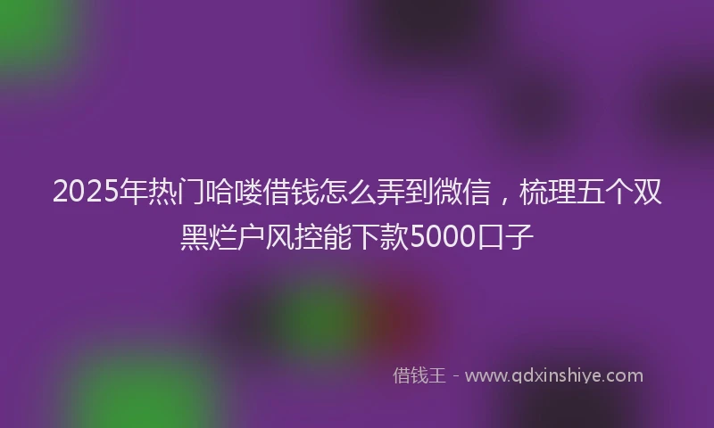 2025年热门哈喽借钱怎么弄到微信，梳理五个双黑烂户风控能下款5000口子