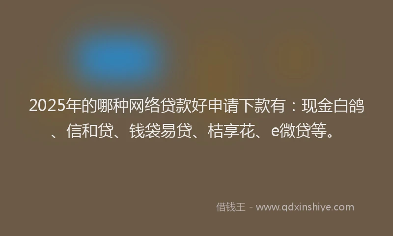 2025年的哪种网络贷款好申请下款有：现金白鸽、信和贷、钱袋易贷、桔享花、e微贷等。