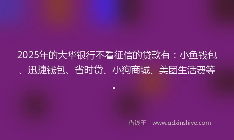2025年的大华银行不看征信的贷款有：小鱼钱包、迅捷钱包、省时贷、小狗商城、美团生活费等。