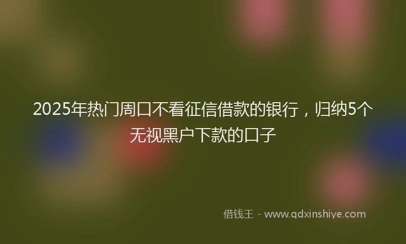 2025年热门周口不看征信借款的银行，归纳5个无视黑户下款的口子