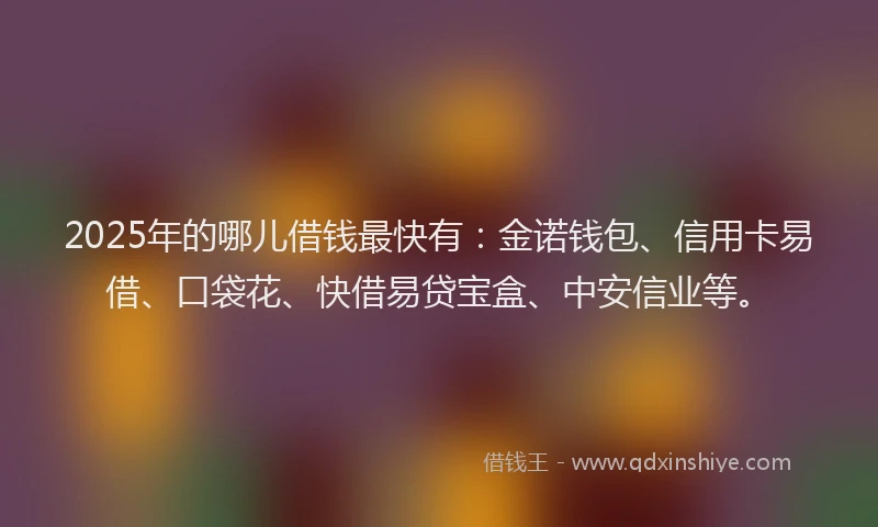 2025年的哪儿借钱最快有：金诺钱包、信用卡易借、口袋花、快借易贷宝盒、中安信业等。