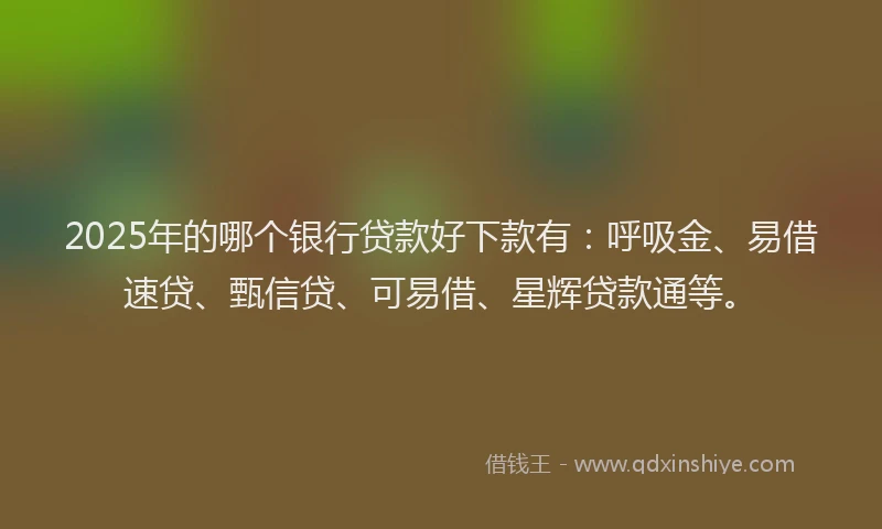 2025年的哪个银行贷款好下款有：呼吸金、易借速贷、甄信贷、可易借、星辉贷款通等。